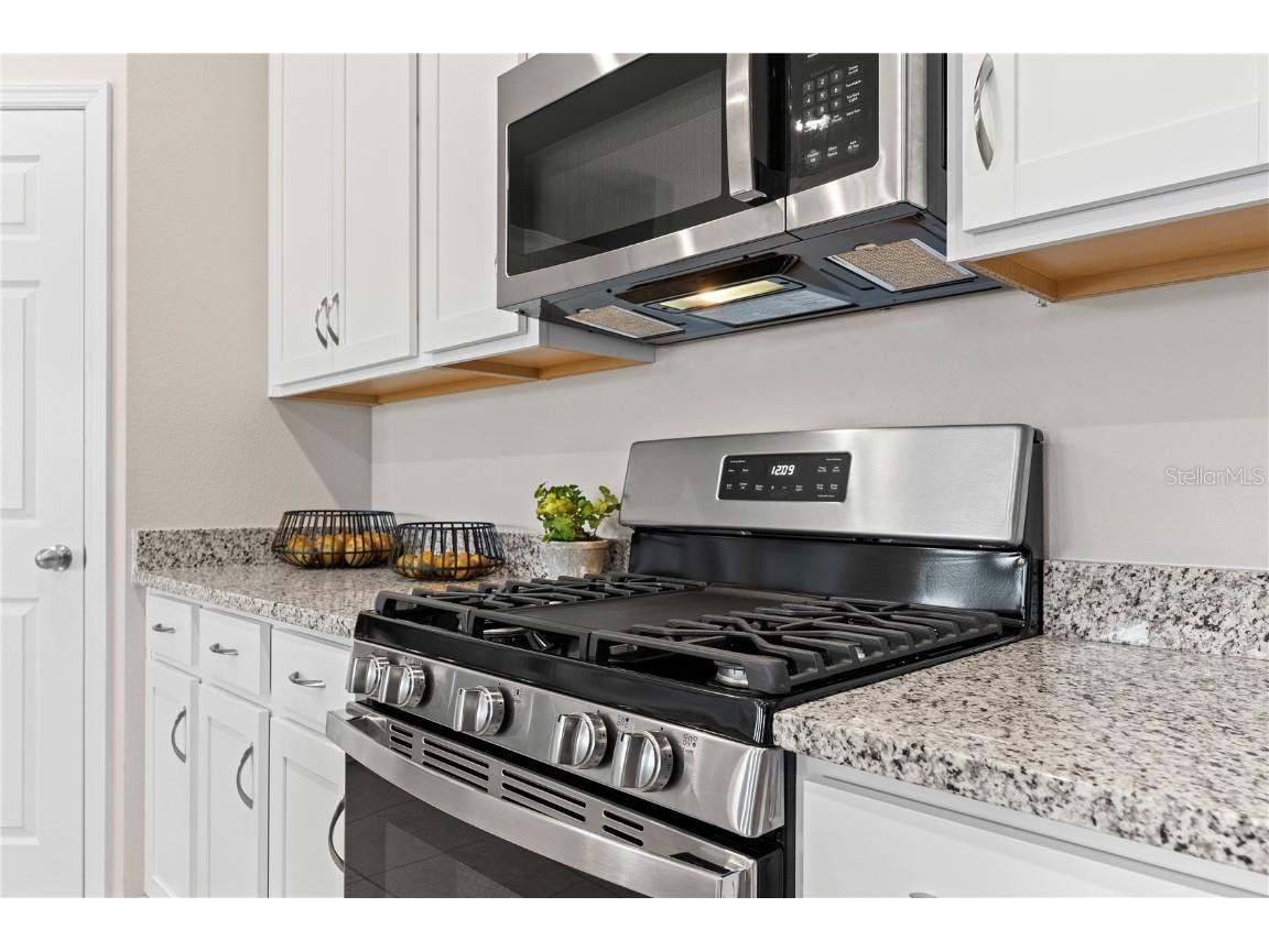 12904 Trovita Drive Grand Island FL 32735 O6362313 image9