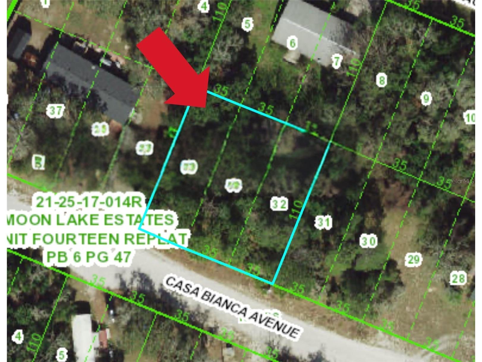 12905 Casa Bianca Avenue New Port Richey FL 34654 TB8403217 image1