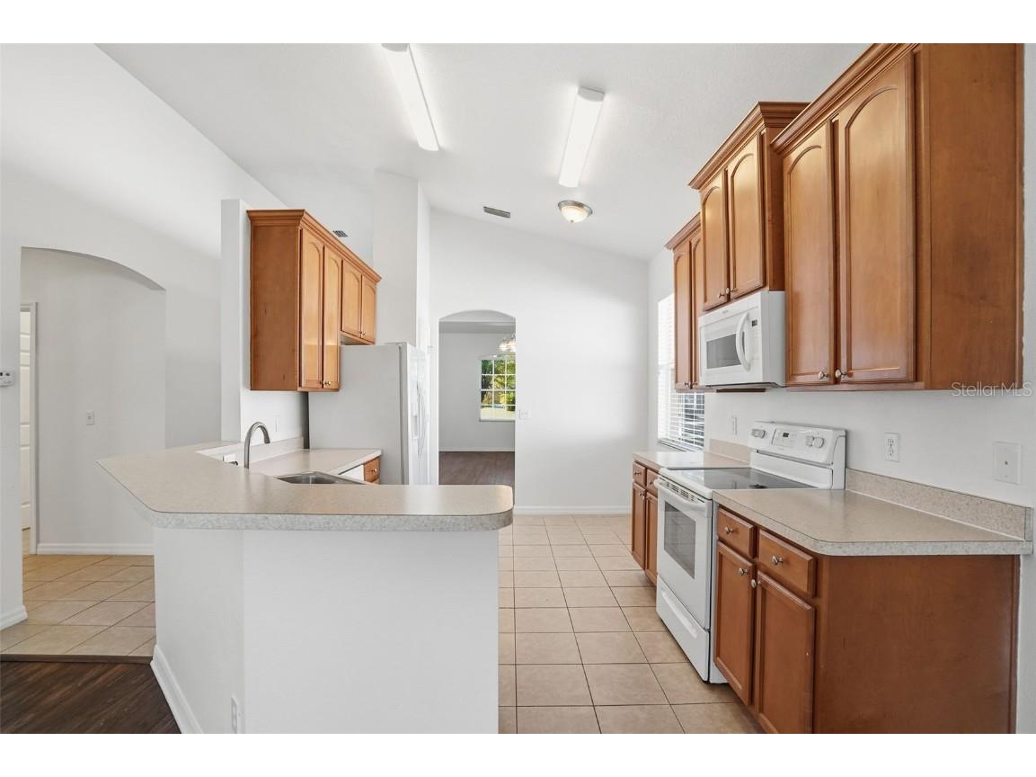 12906 Cattail Shore Lane Riverview FL 33579 O6367473 image12