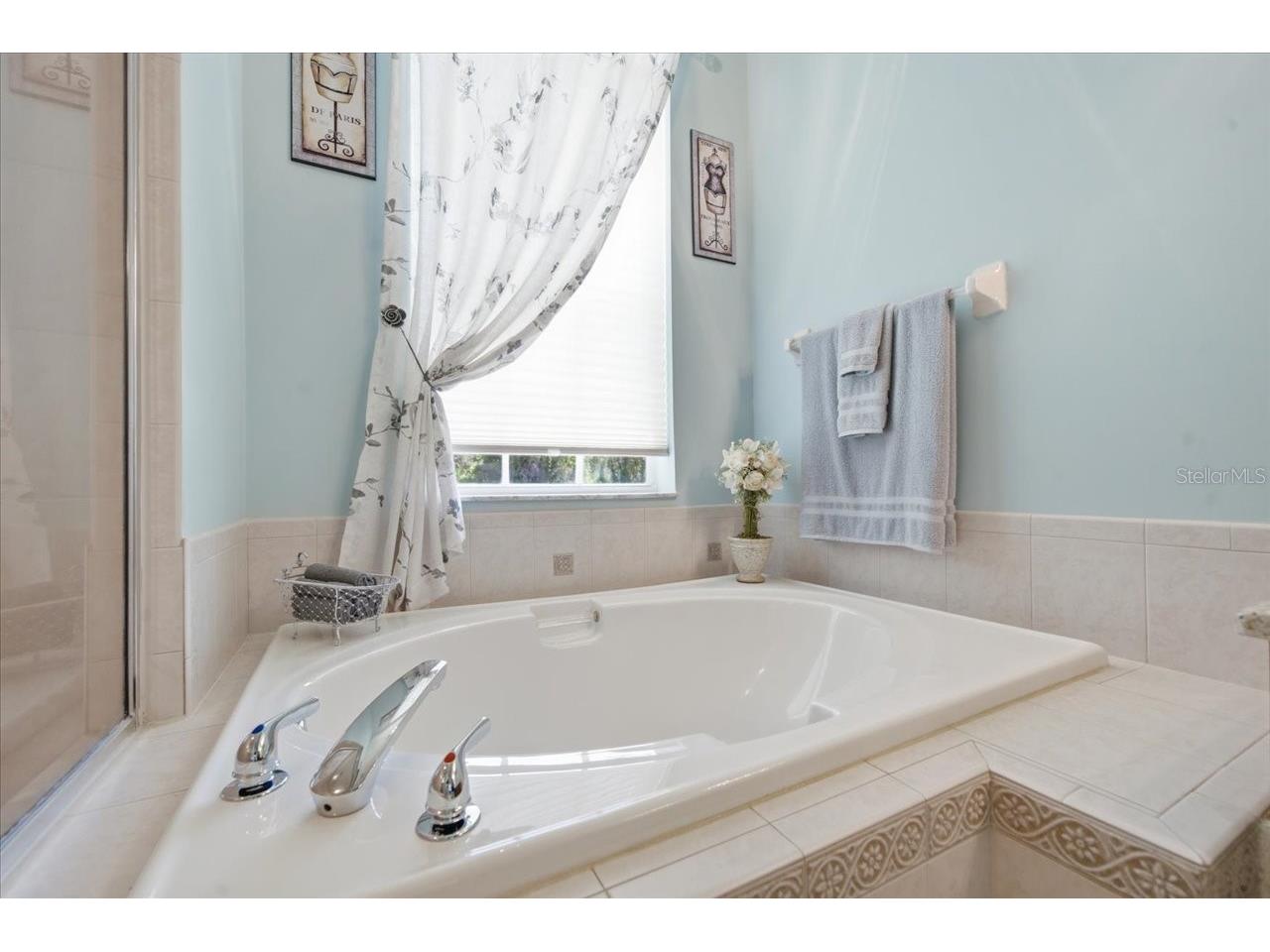12906 Oakeller Drive Hudson FL 34667 W7886951 image37