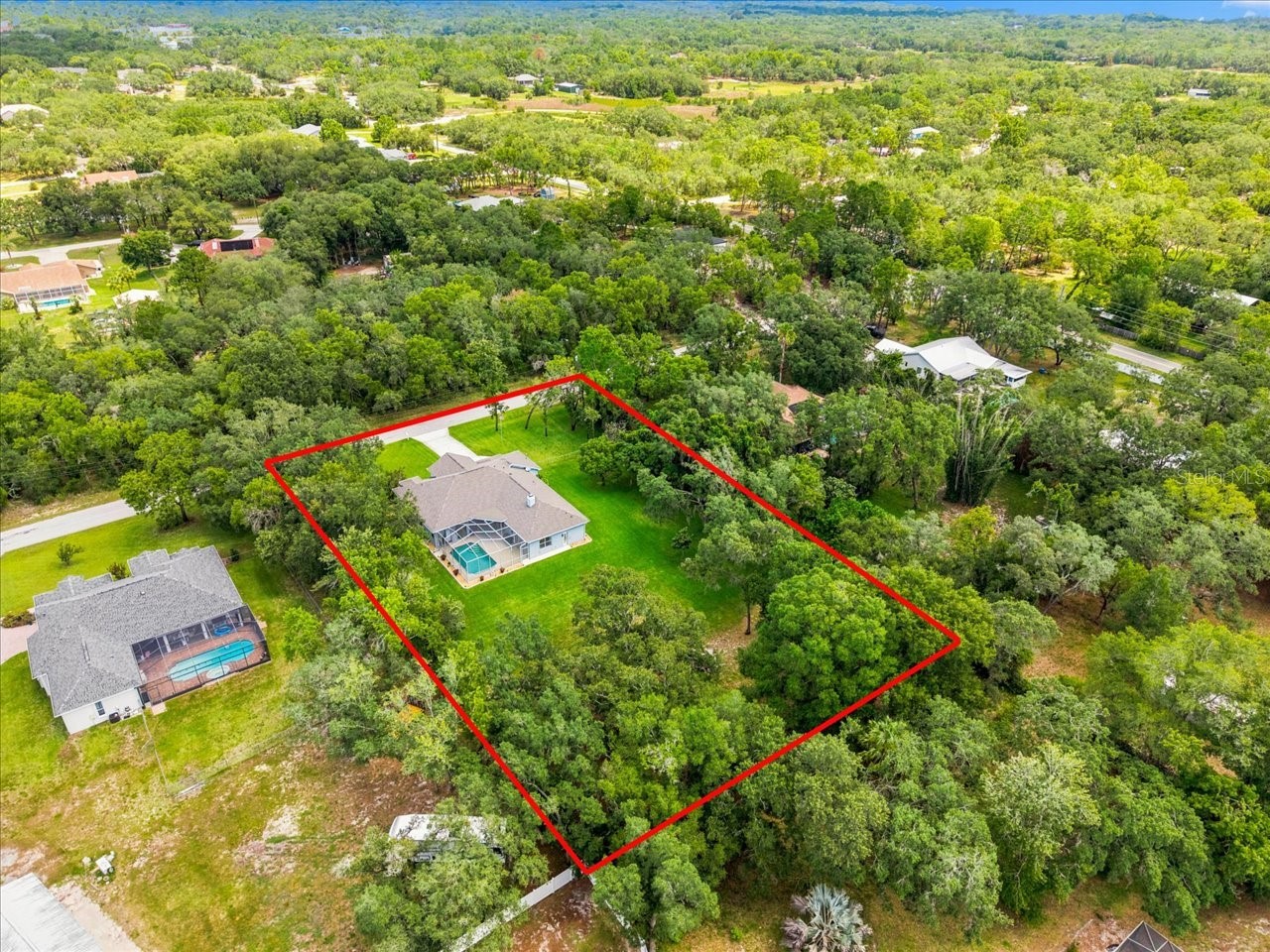 12906 Oakeller Drive Hudson FL 34667 W7886951 image69