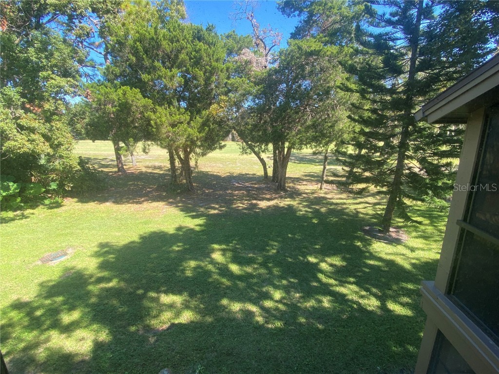 12906 Wedgewood Way #D Hudson FL 34667 W7878447 image22