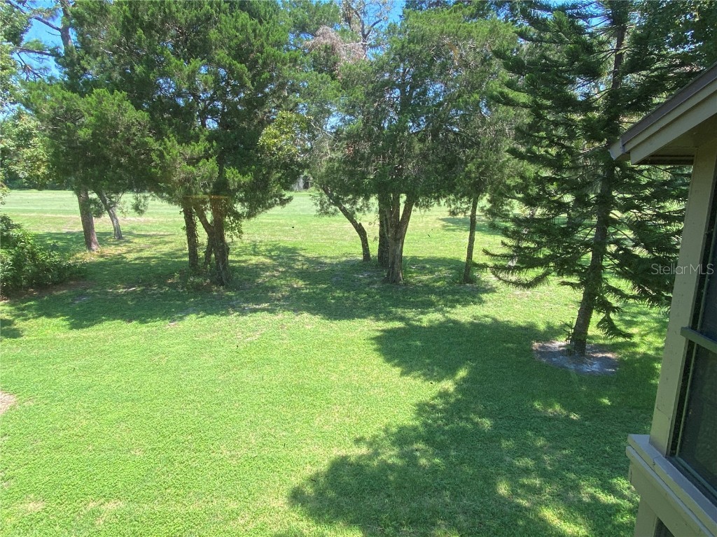 12906 Wedgewood Way #D Hudson FL 34667 W7878447 image39