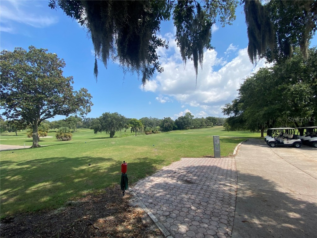 12906 Wedgewood Way #D Hudson FL 34667 W7878447 image57