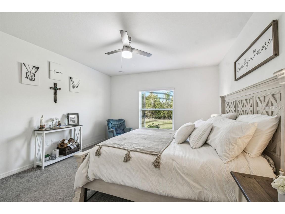 12907 Conquistador Loop Spring Hill FL 34610 TB8447742 image46