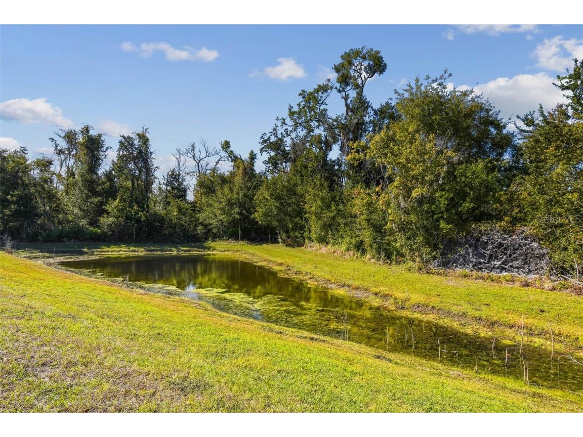 12907 Conquistador Loop Spring Hill FL 34610 TB8447742 image56