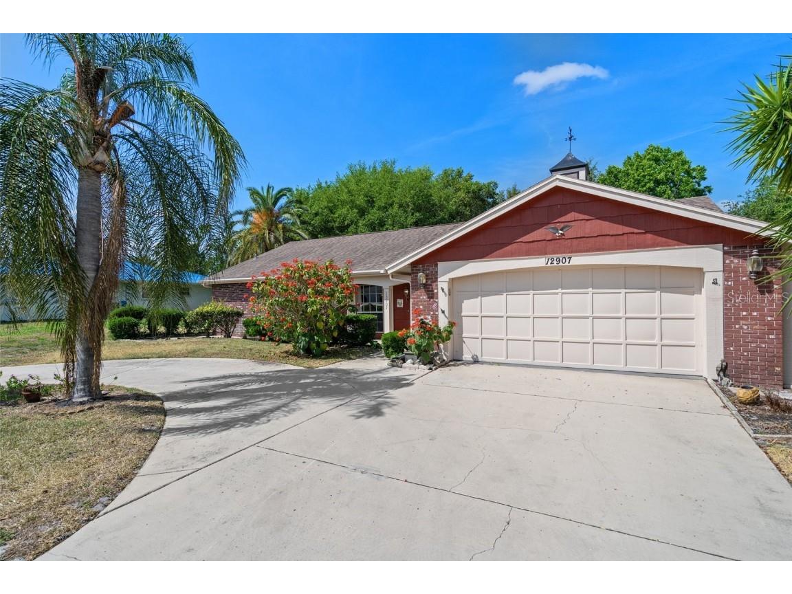 12907 Teakwood Lane Hudson FL 34667 T3524154 image1