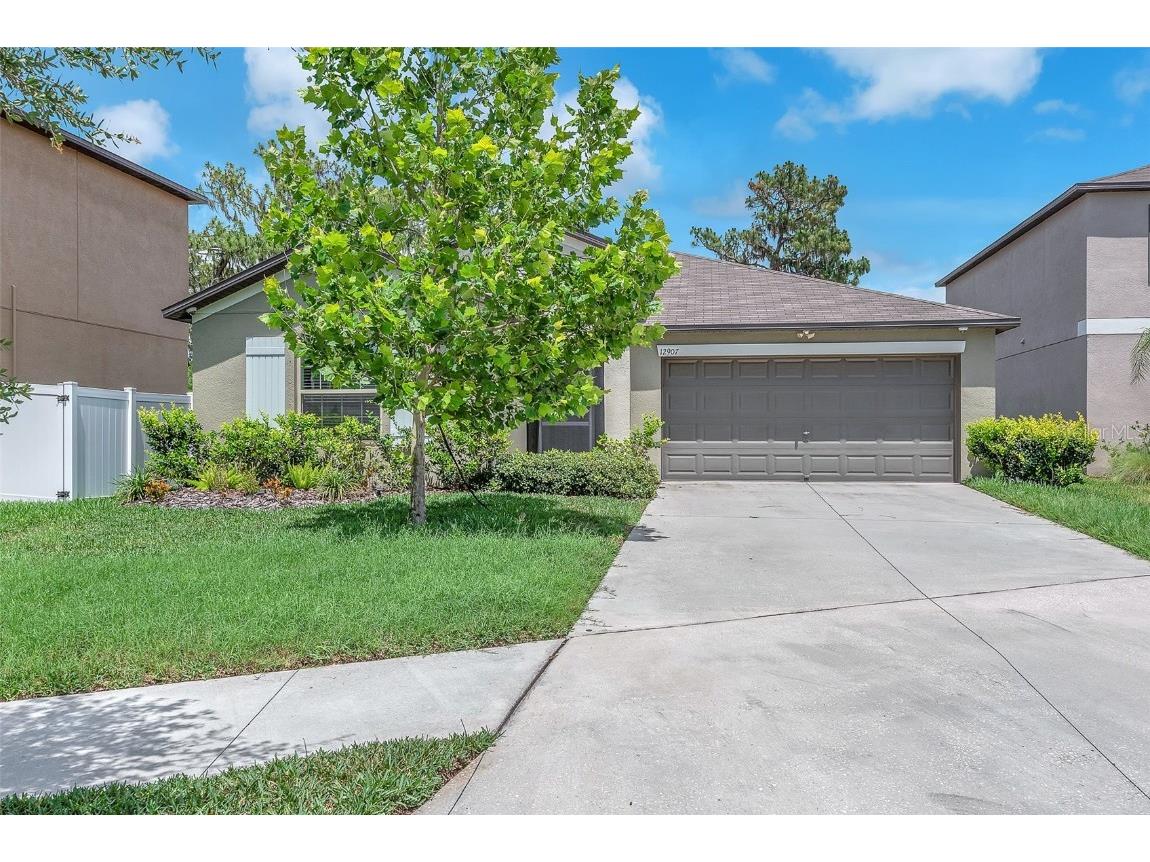 12907 Wildflower Meadow Drive Riverview FL 33579 TB8395043 image1