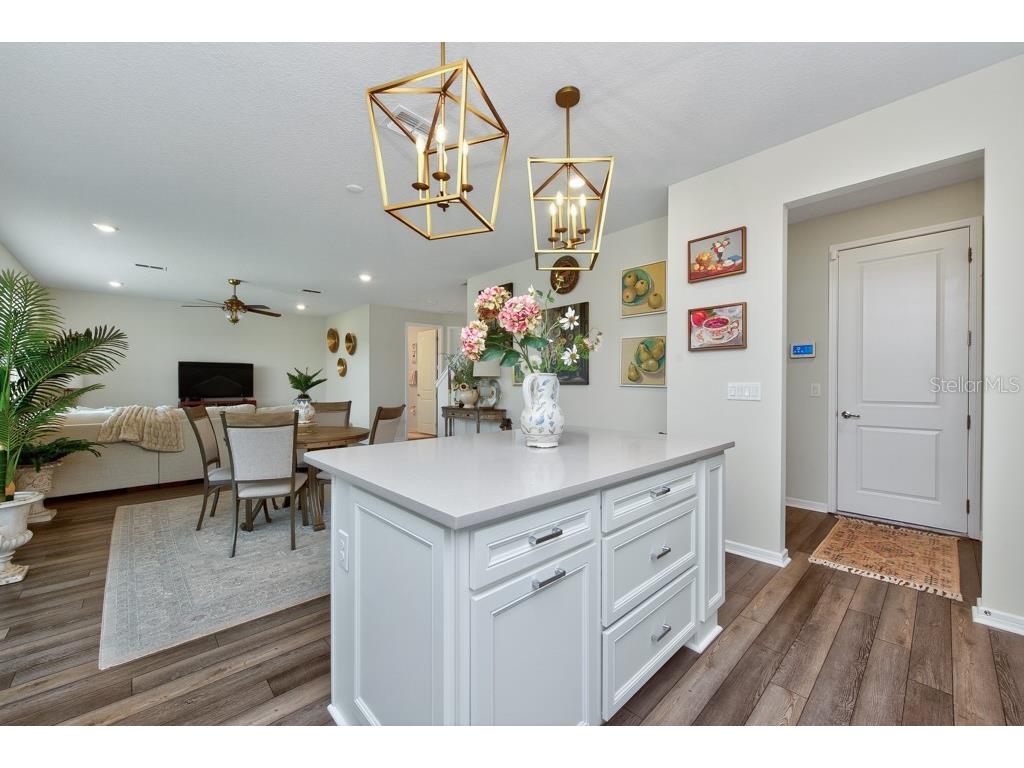 12908 Brookside Moss Drive Riverview FL 33579 TB8497162 image16