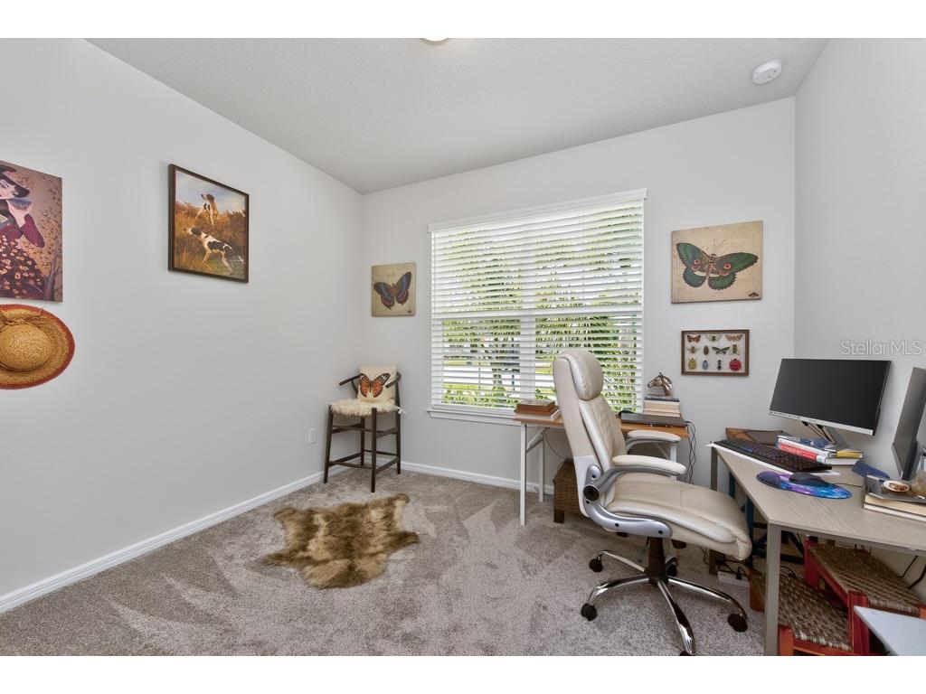 12908 Brookside Moss Drive Riverview FL 33579 TB8497162 image17