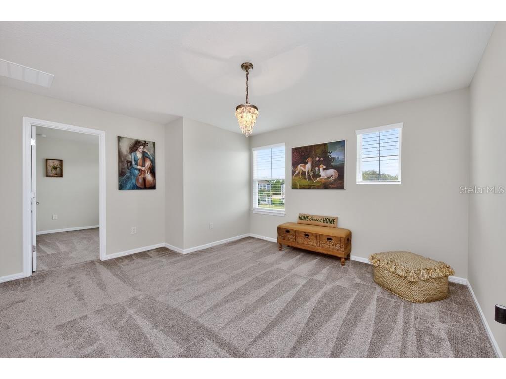 12908 Brookside Moss Drive Riverview FL 33579 TB8497162 image20