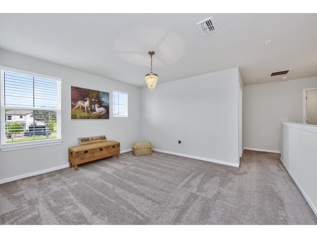 12908 Brookside Moss Drive Riverview FL 33579 TB8497162 image22