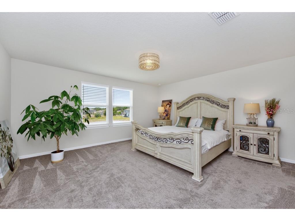 12908 Brookside Moss Drive Riverview FL 33579 TB8497162 image23