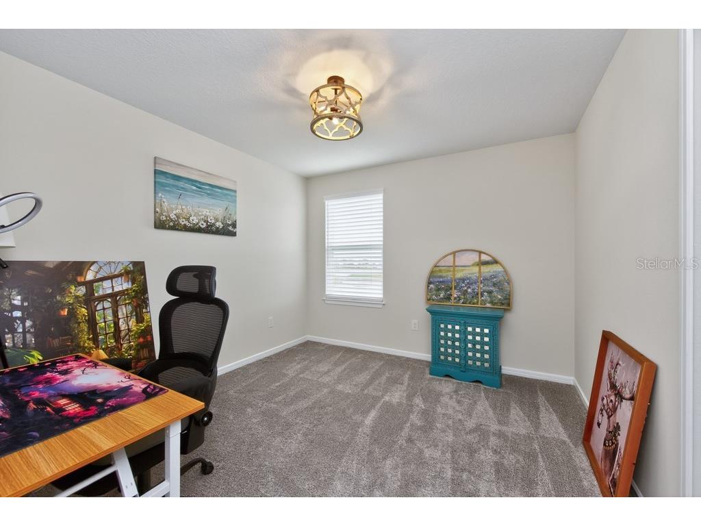 12908 Brookside Moss Drive Riverview FL 33579 TB8497162 image32