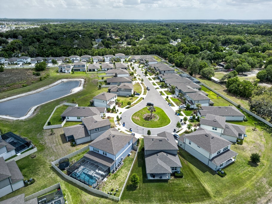 12908 Brookside Moss Drive Riverview FL 33579 TB8497162 image46