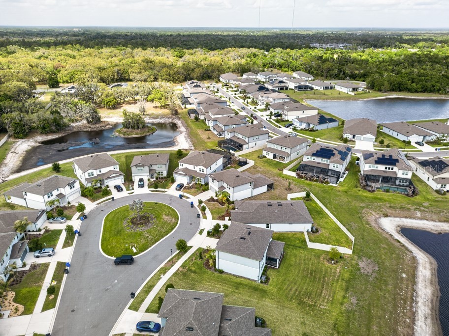 12908 Brookside Moss Drive Riverview FL 33579 TB8497162 image48