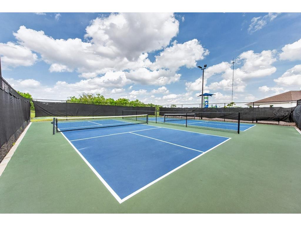 12908 Brookside Moss Drive Riverview FL 33579 TB8497162 image53