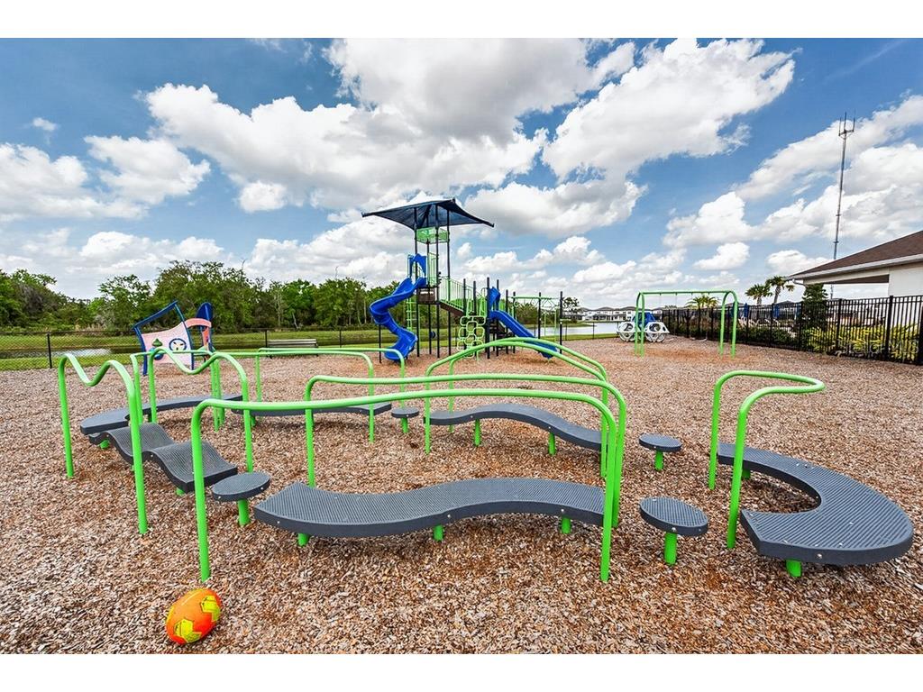 12908 Brookside Moss Drive Riverview FL 33579 TB8497162 image54