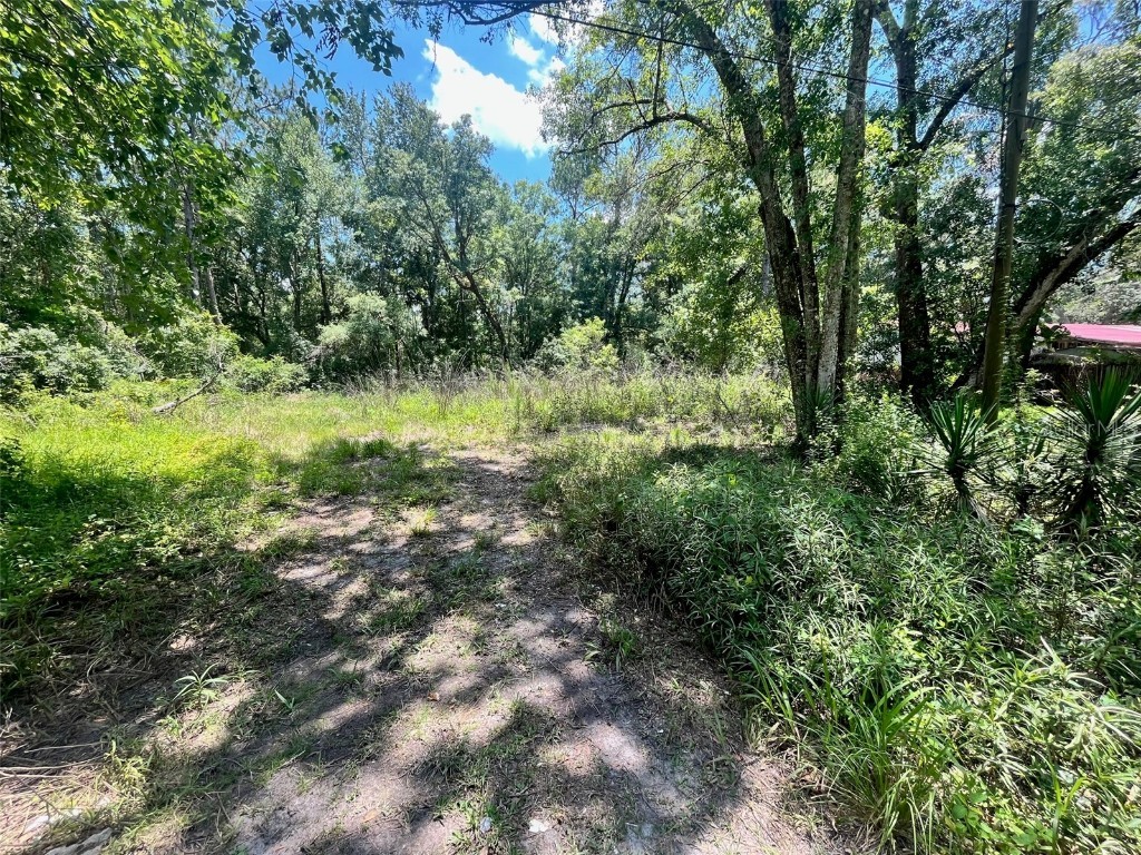 12908 Ennis Avenue New Port Richey FL 34654 T3452946 image1