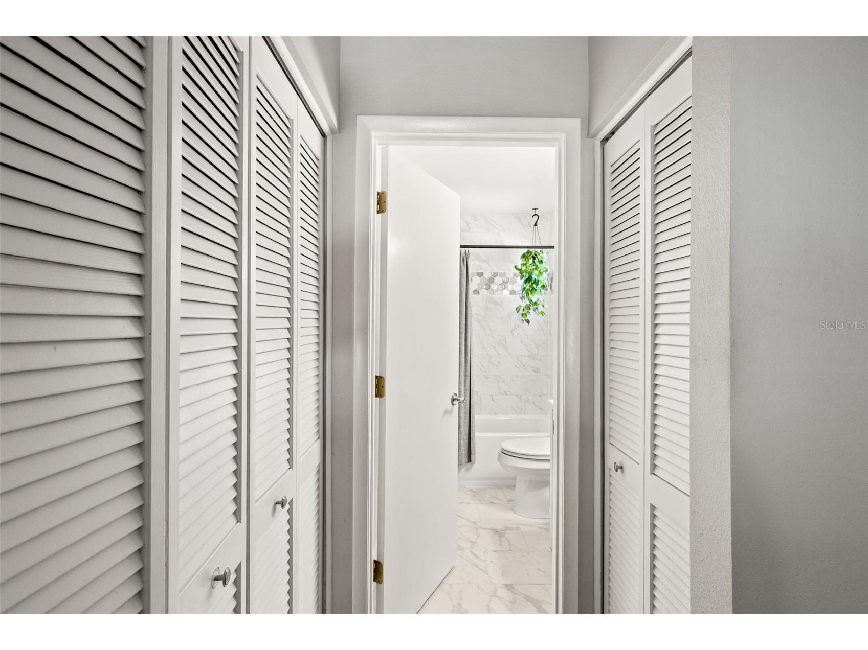 12908 Longcrest Drive Riverview FL 33579 TB8499017 image14