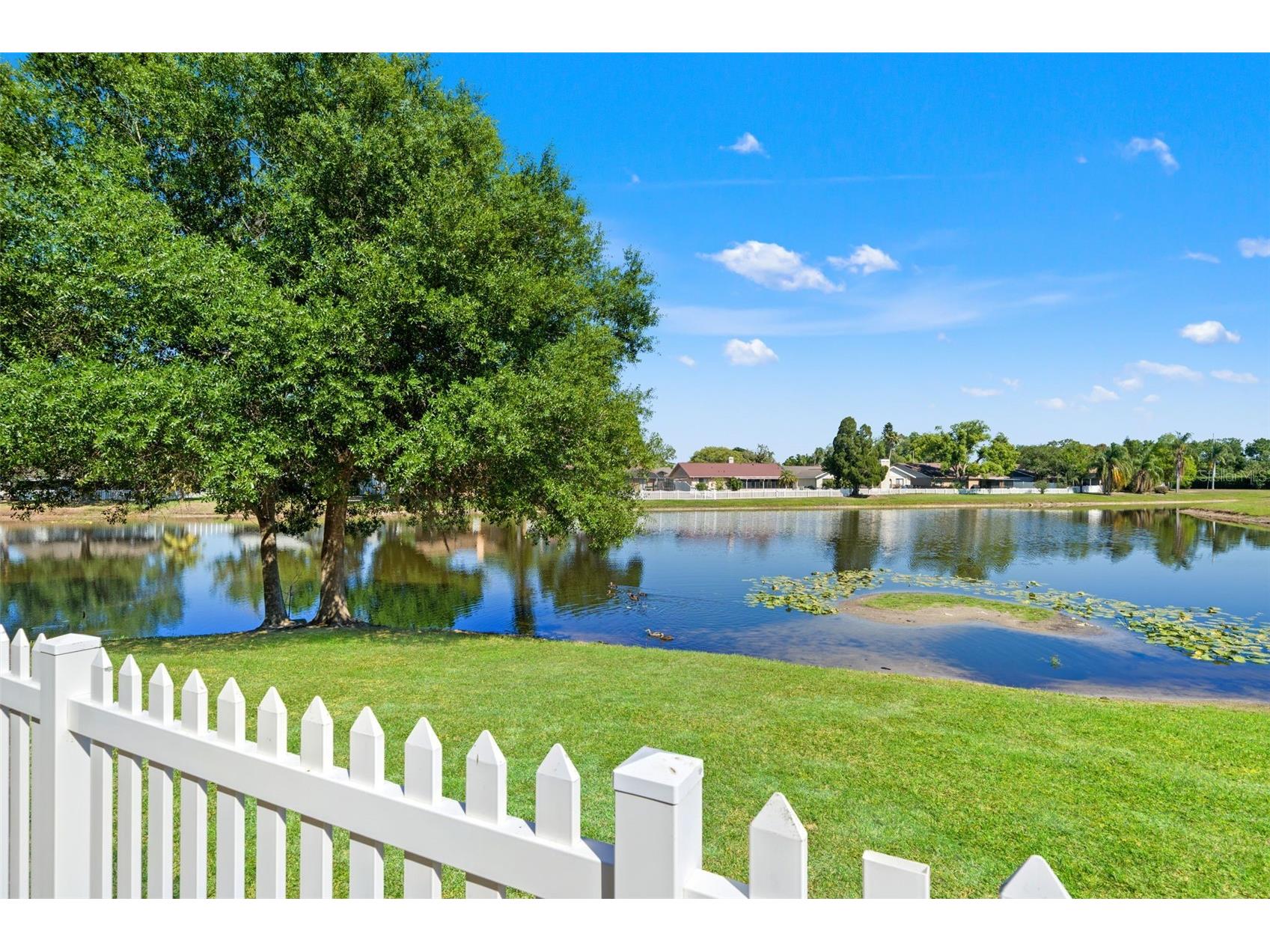 12908 Longcrest Drive Riverview FL 33579 TB8499017 image26