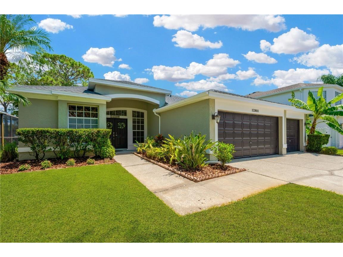 12908 Royal George Avenue Odessa FL 33556 T3549600 image1