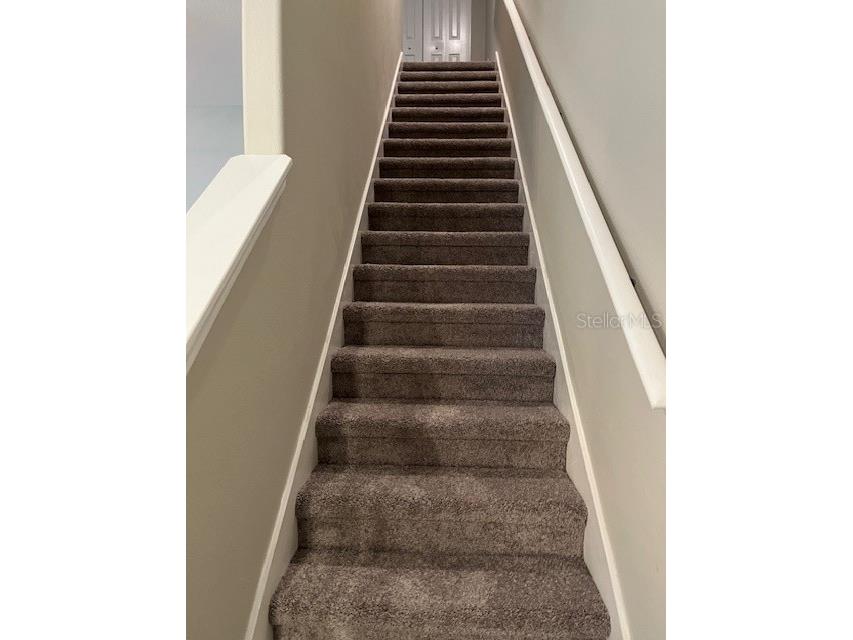 12908 Utopia Gardens Way Riverview FL 33579 TB8444417 image23