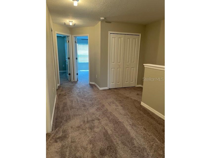 12908 Utopia Gardens Way Riverview FL 33579 TB8444417 image25