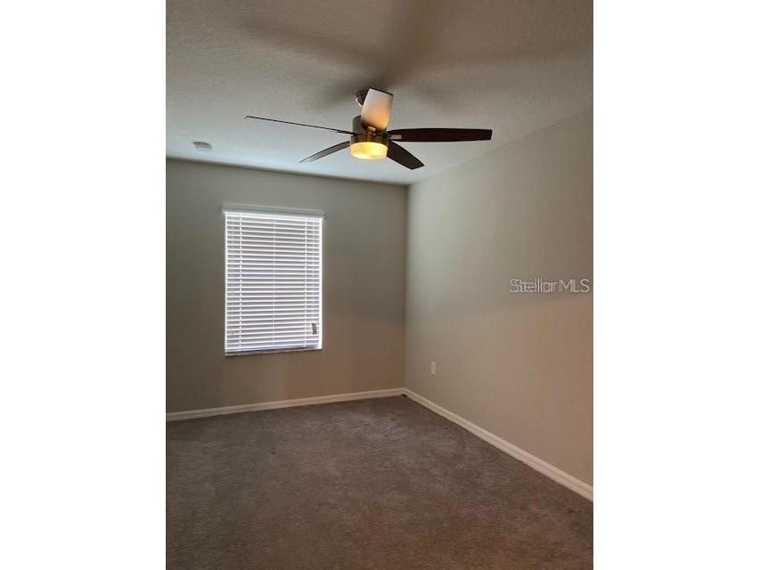 12908 Utopia Gardens Way Riverview FL 33579 TB8444417 image26