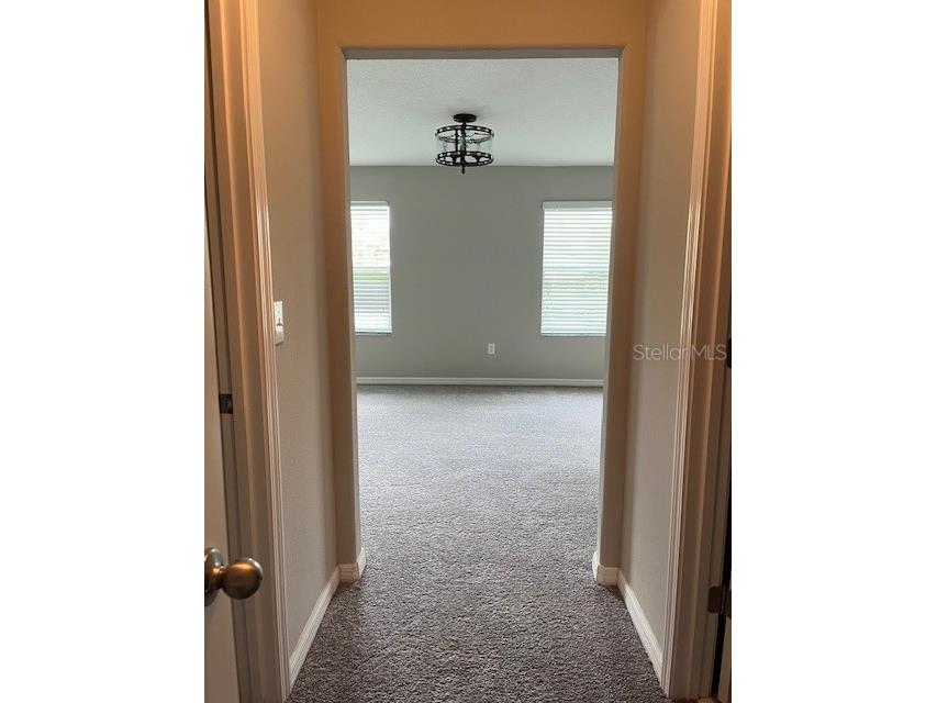 12908 Utopia Gardens Way Riverview FL 33579 TB8444417 image30