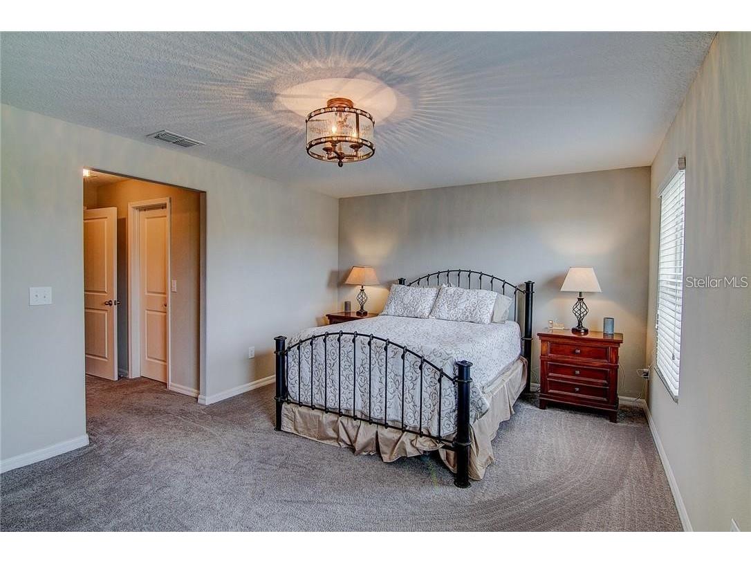 12908 Utopia Gardens Way Riverview FL 33579 TB8444417 image32