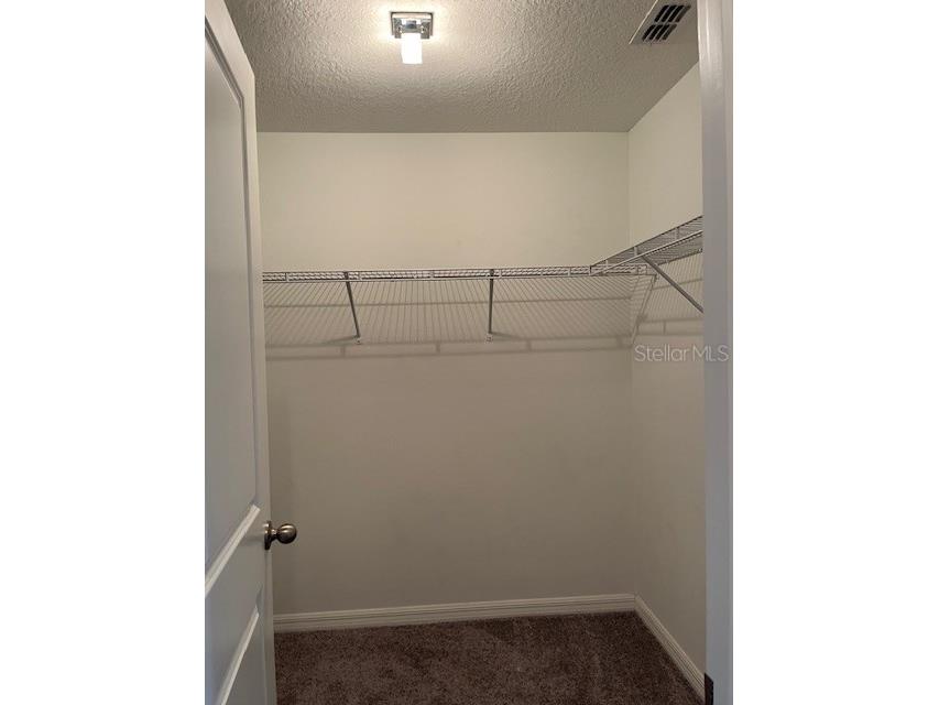 12908 Utopia Gardens Way Riverview FL 33579 TB8444417 image36