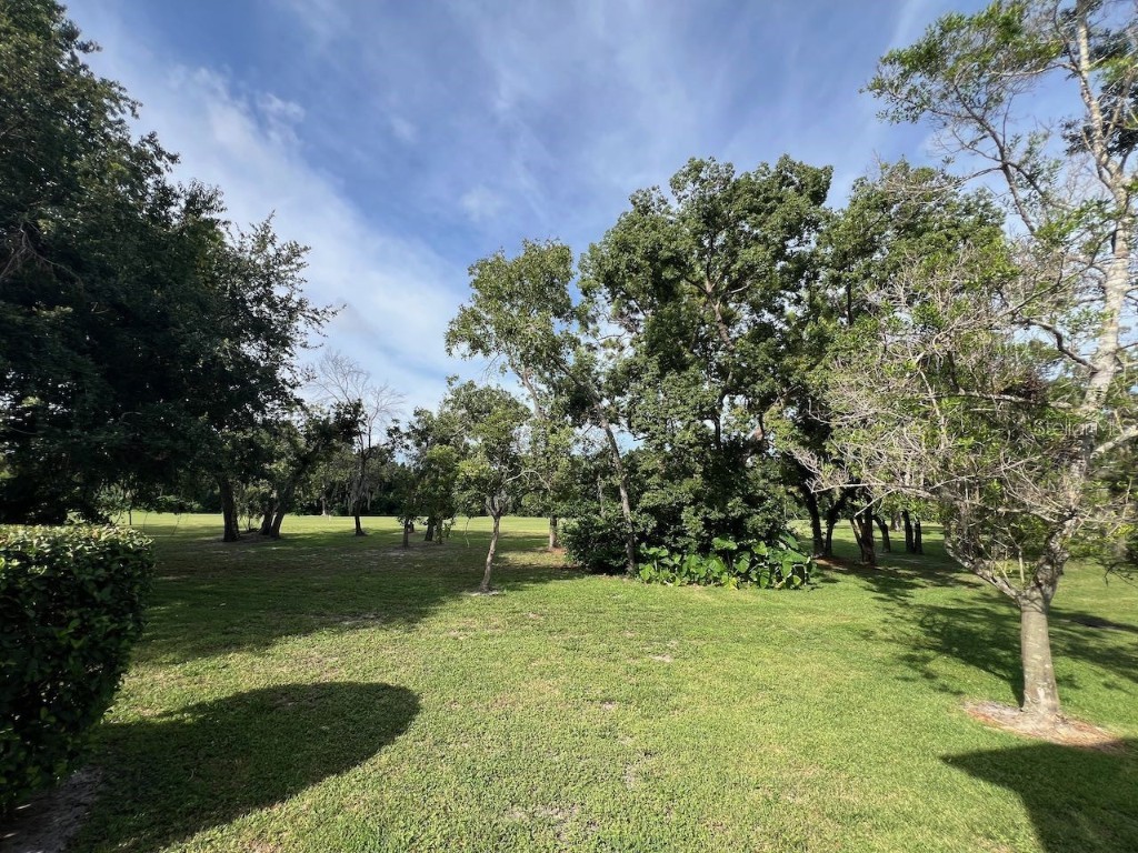 12908 Wedgewood Way #D Hudson FL 34667 TB8409387 image39