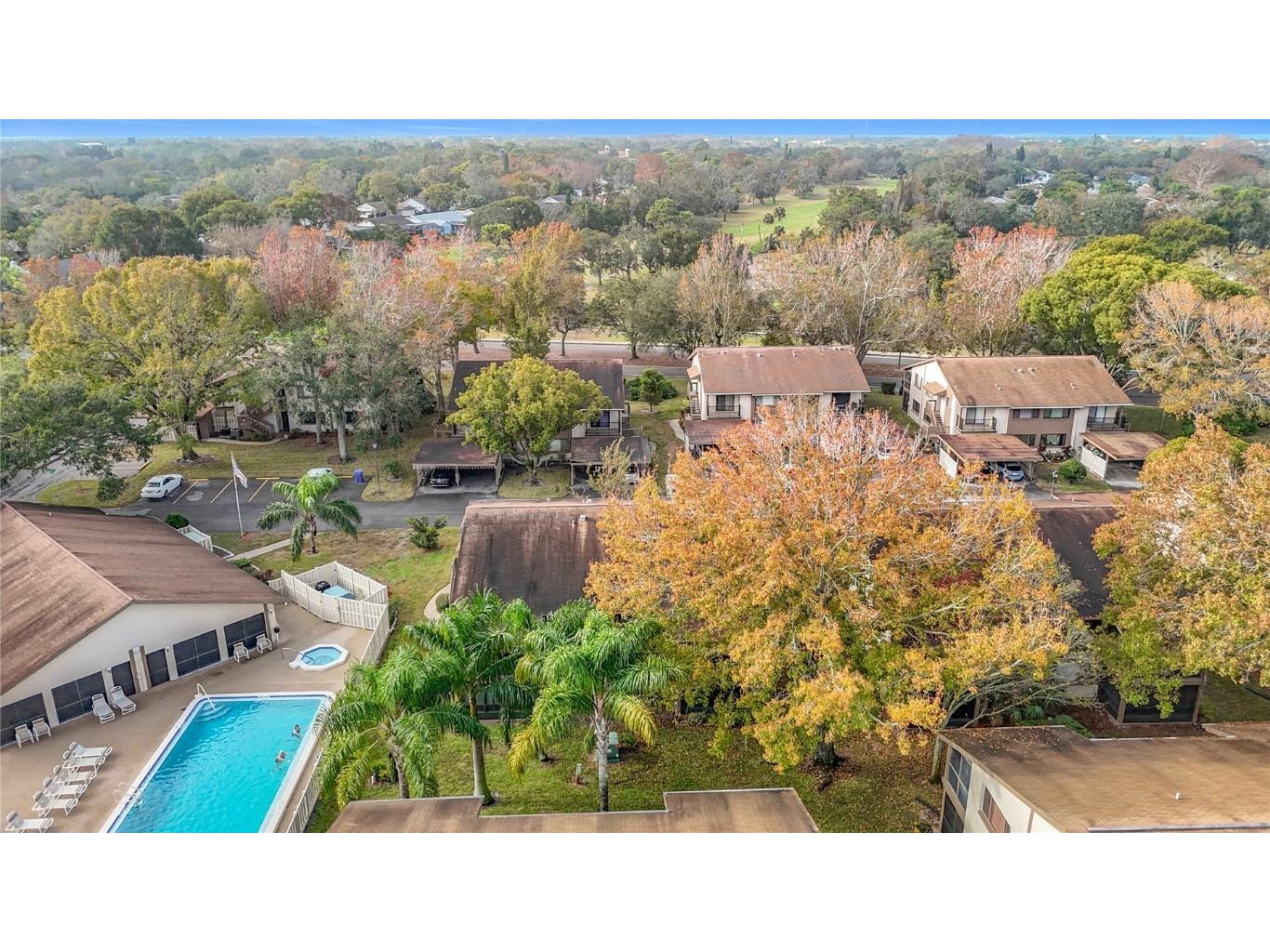 12908 Wedgewood Way #D Hudson FL 34667 TB8409387 image41