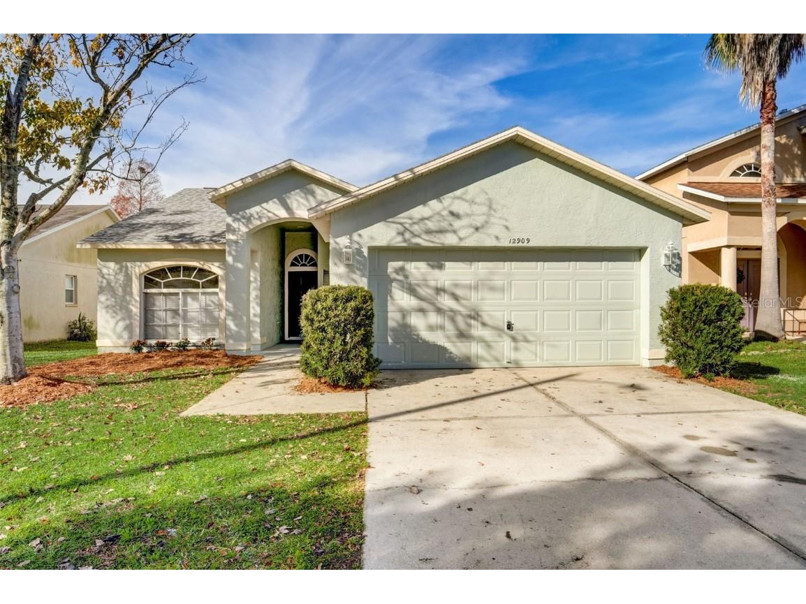 12909 Brant Tree Riverview FL 33569 T3493915 image1