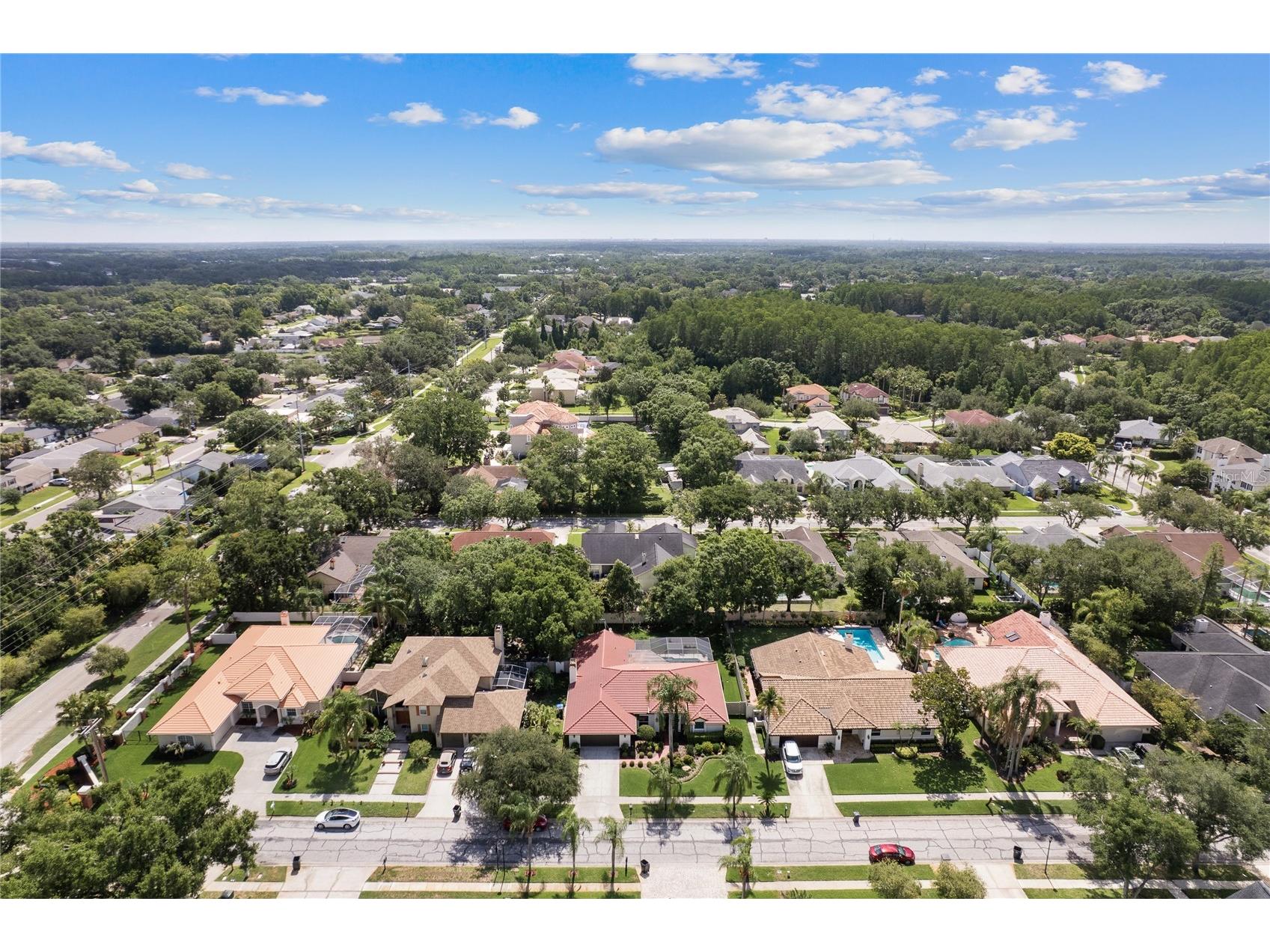 12909 Cinnimon Place Tampa FL 33624 TB8510890 image49