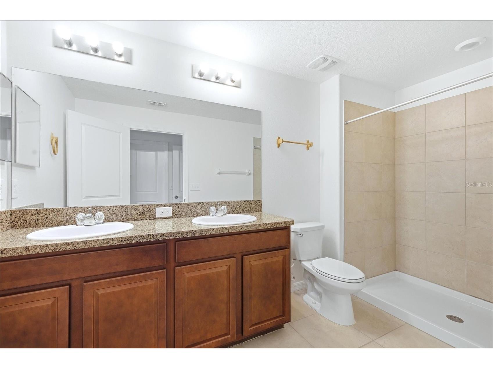 12909 Dream Catcher Way Riverview FL 33579 D6147376 image20