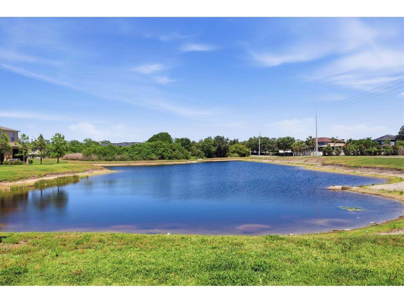 12909 Dream Catcher Way Riverview FL 33579 D6147376 image28