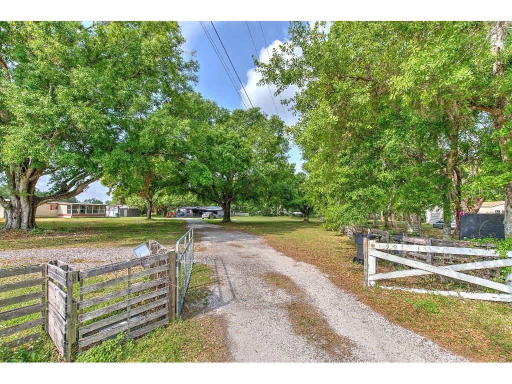 12909 Fairgreen Road Dover FL 33527 TB8371488 image1