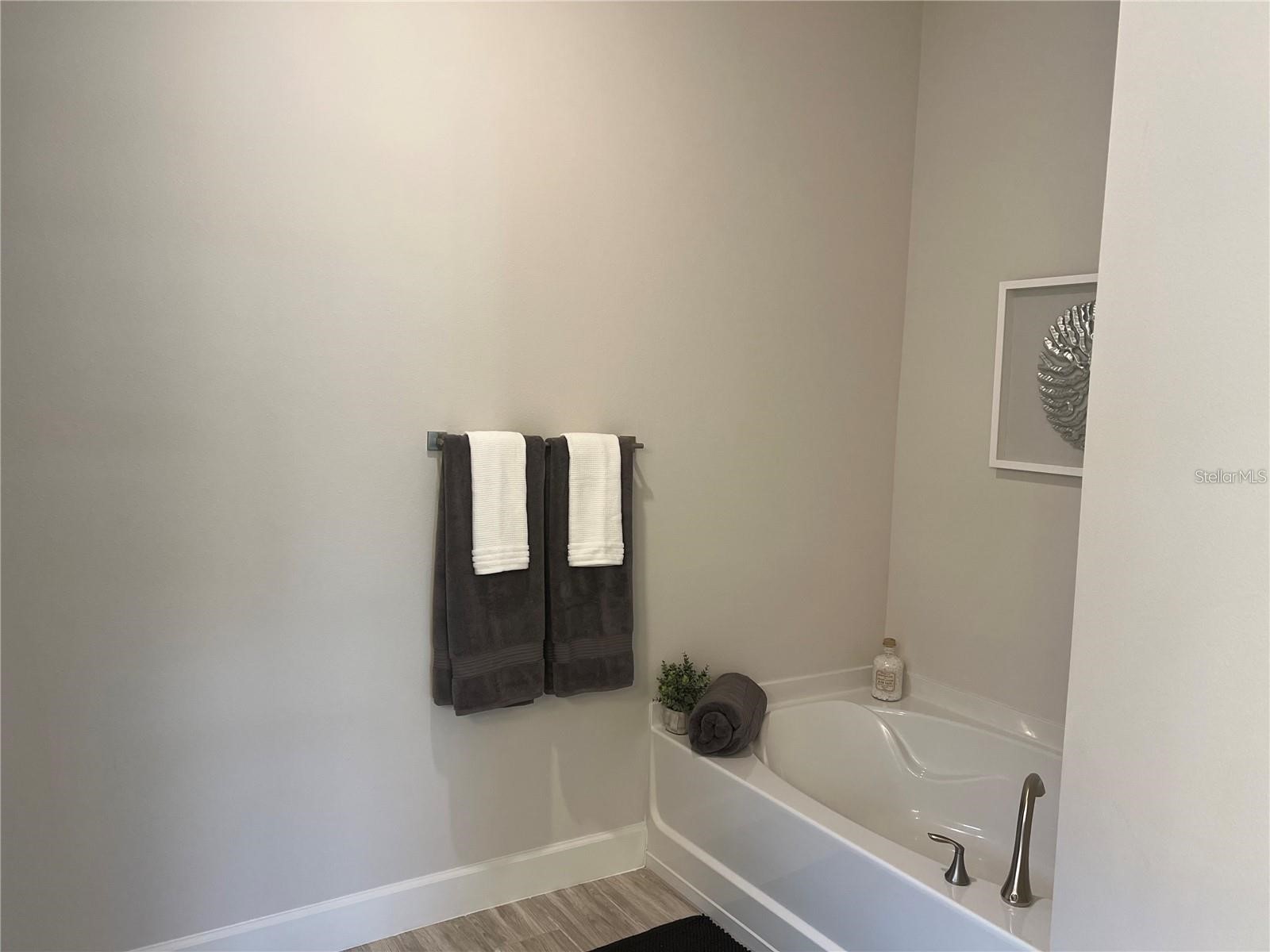 12909 Kent Bradley Street Dade City FL 33525 TB8493477 image19