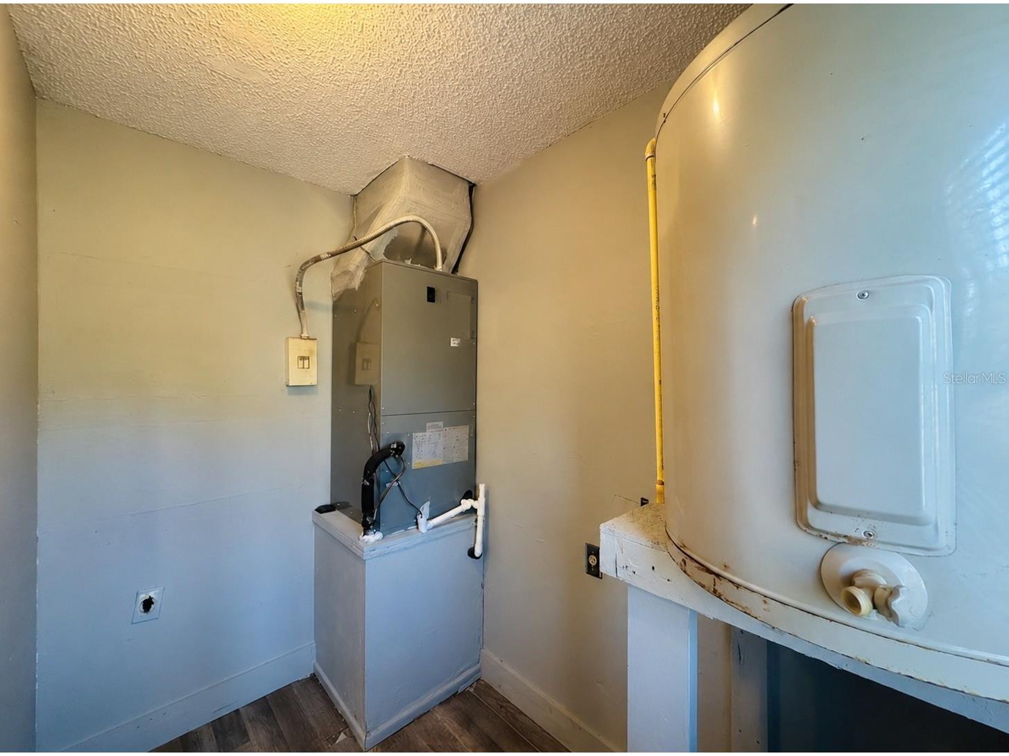 12909 Litewood Drive Hudson FL 34669 TB8531654 image7