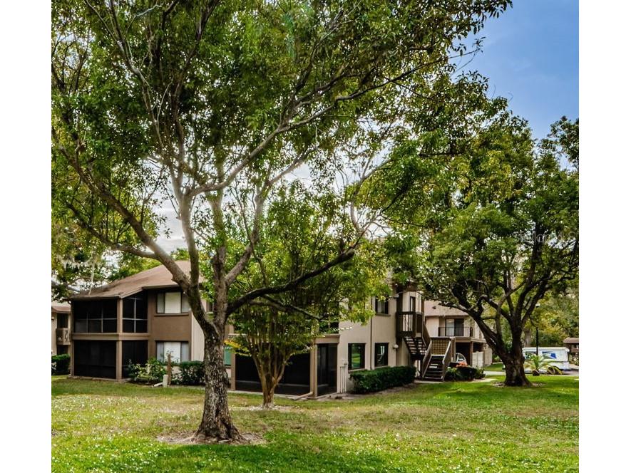 12909 Wedgewood Way #A Hudson FL 34667 U8222942 image1