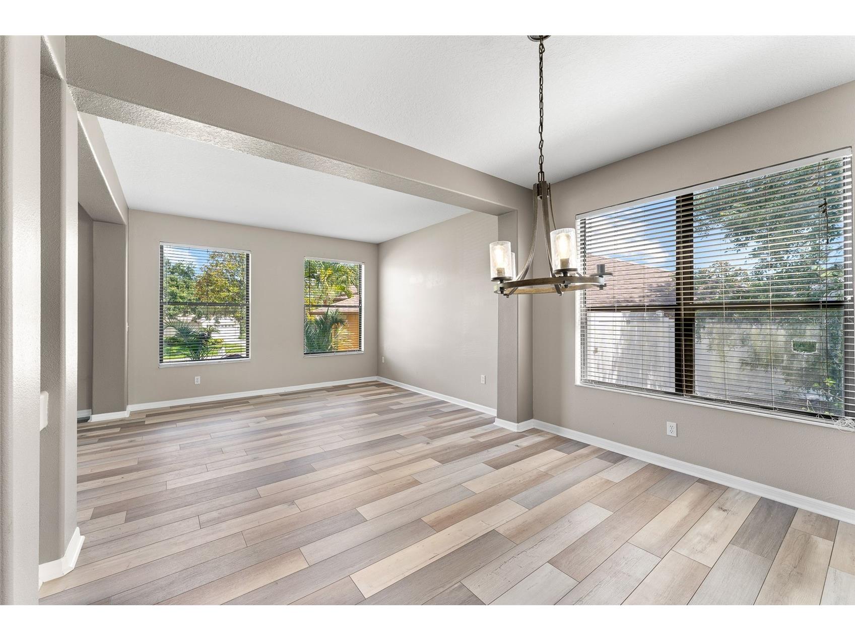 1291 Blackrush Drive Tarpon Springs FL 34689 O6370580 image12