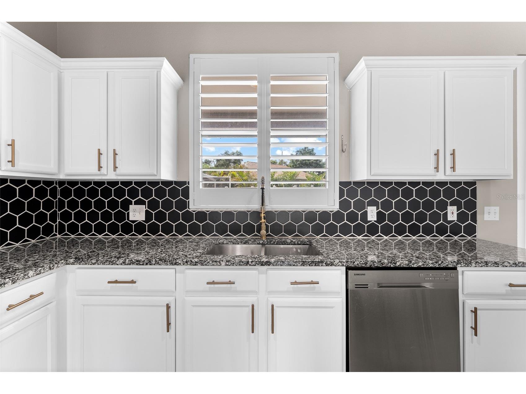 1291 Blackrush Drive Tarpon Springs FL 34689 O6370580 image16