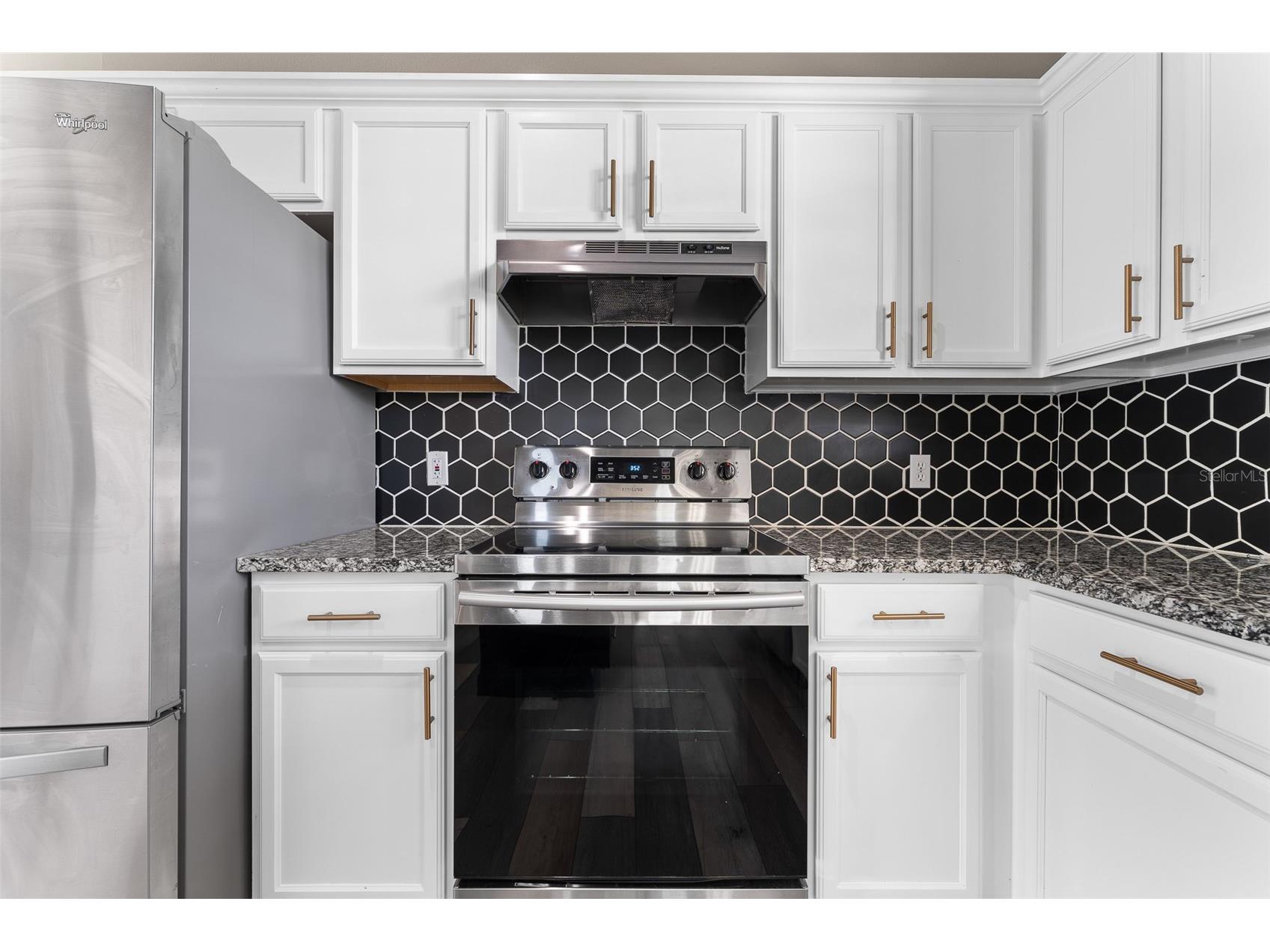 1291 Blackrush Drive Tarpon Springs FL 34689 O6370580 image17