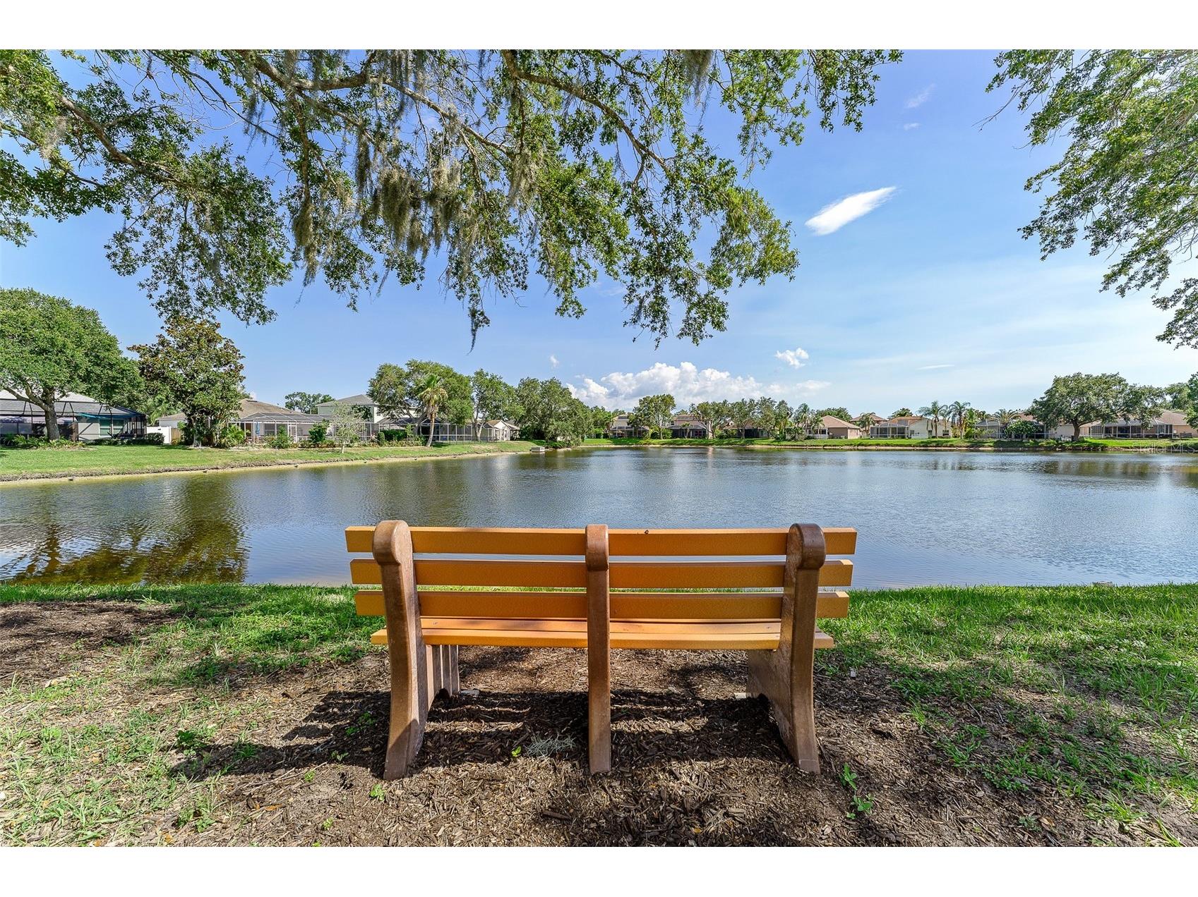 1291 Blackrush Drive Tarpon Springs FL 34689 O6370580 image60