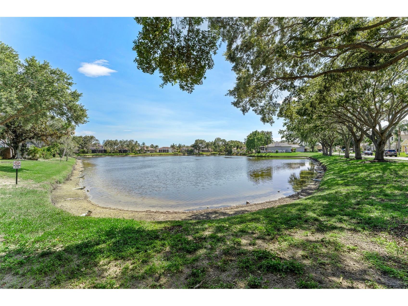 1291 Blackrush Drive Tarpon Springs FL 34689 O6370580 image61