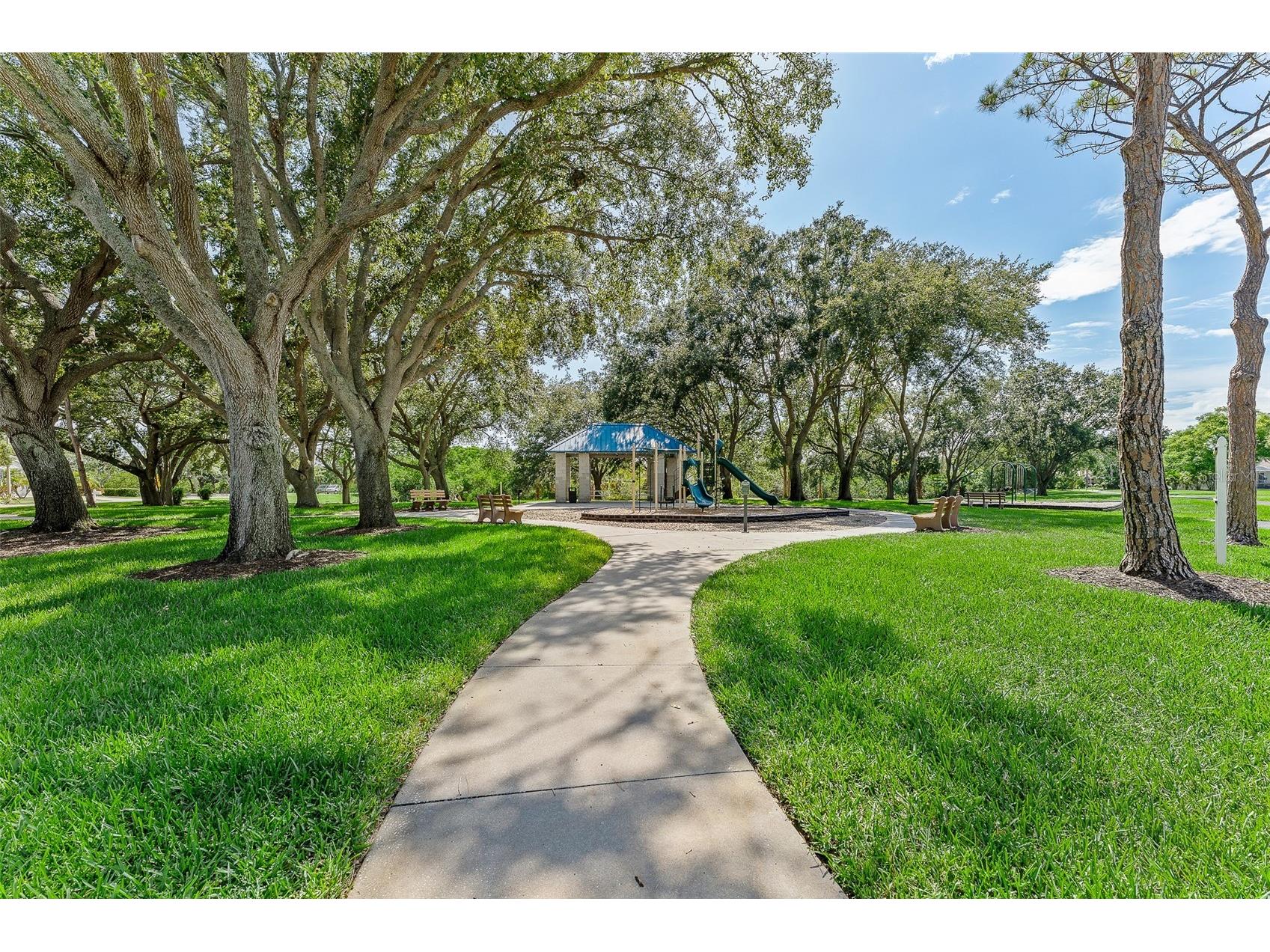1291 Blackrush Drive Tarpon Springs FL 34689 O6370580 image62