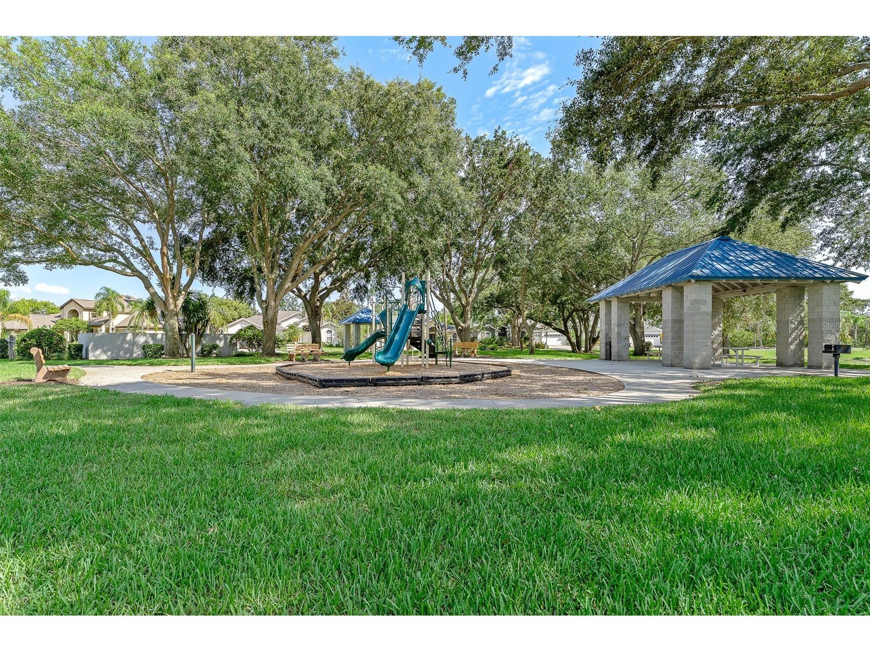 1291 Blackrush Drive Tarpon Springs FL 34689 O6370580 image65