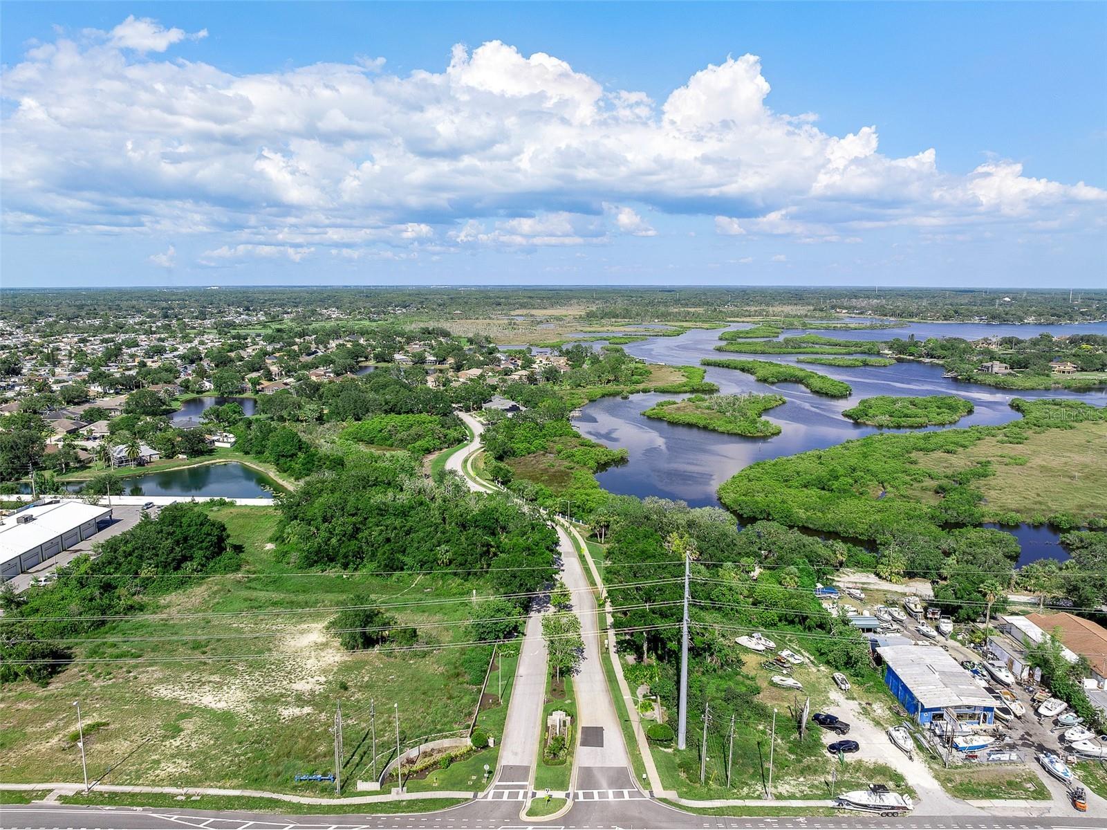 1291 Blackrush Drive Tarpon Springs FL 34689 O6370580 image67